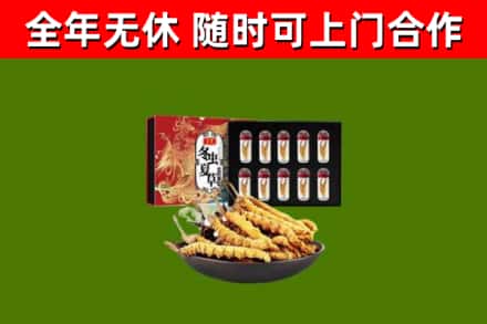 淮安烟酒回收冬虫夏草礼盒.jpg